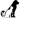 logo-ambulatorio-verticale