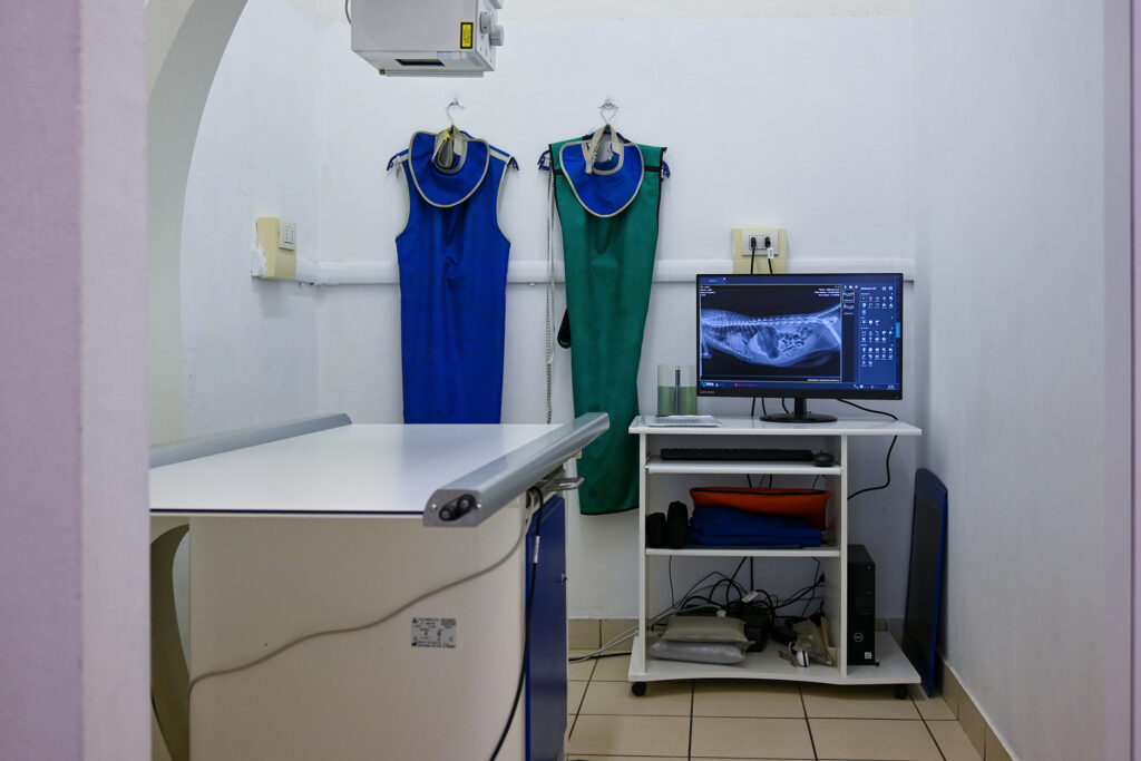 radiologia